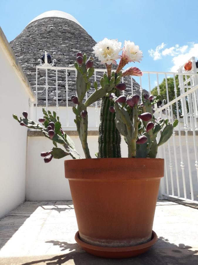 B&B Masseria Nuove Caselle 빌라 카스텔리 외부 사진