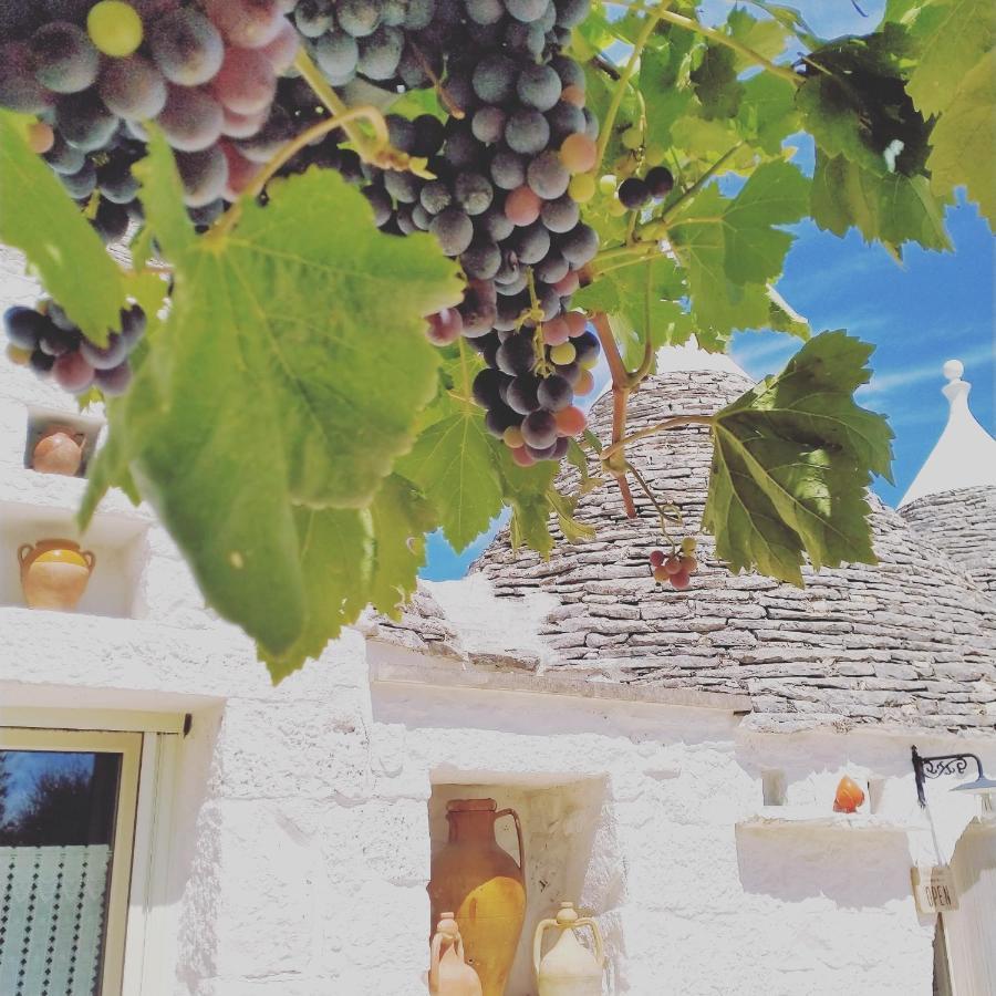 B&B Masseria Nuove Caselle 빌라 카스텔리 외부 사진