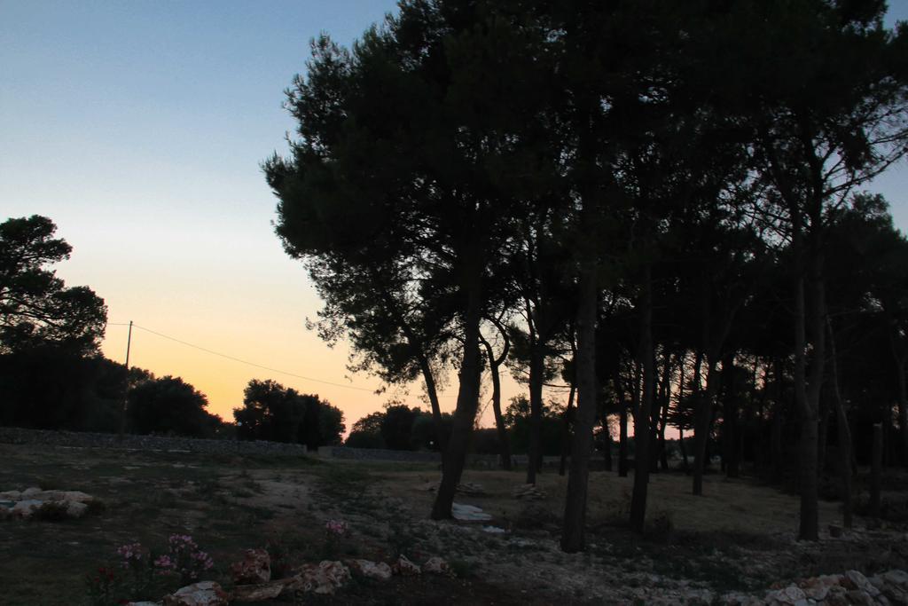 B&B Masseria Nuove Caselle 빌라 카스텔리 외부 사진